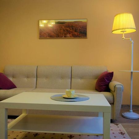 Central Comfortable One-Bedroom Apartment Kisinyov Kültér fotó
